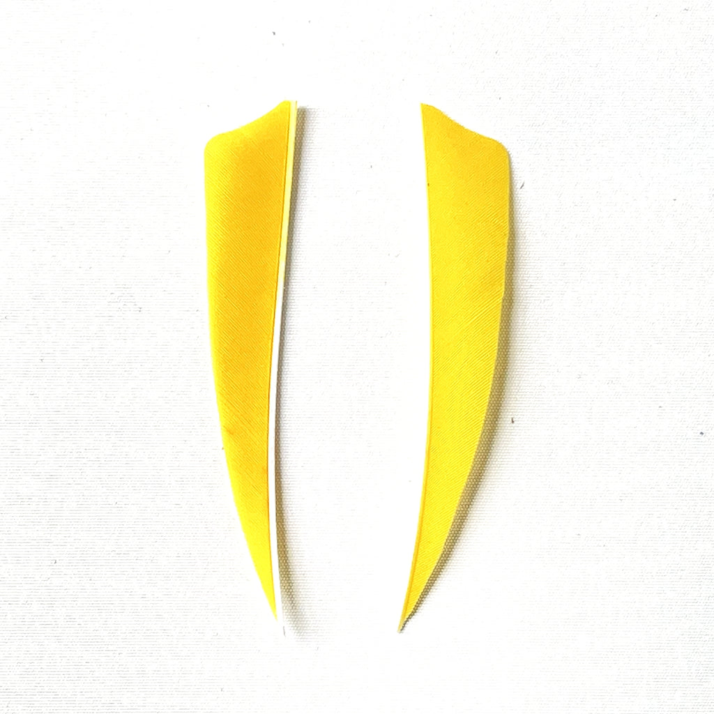 ARCHQUICK 4" Shield RW Feather 12pack Fletching Vanes 8 Colours