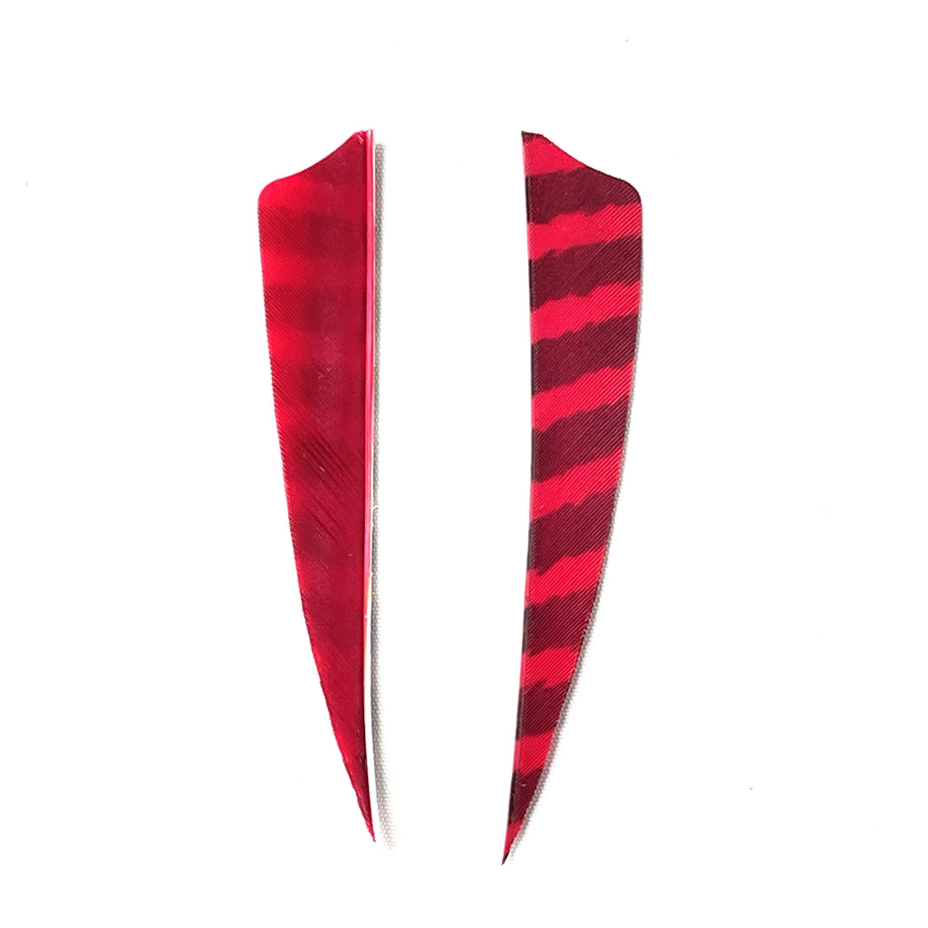 ARCHQUICK Arrow Vanes 4" Shield Barred RW Turkey Feather 12pack Fletching Vanes