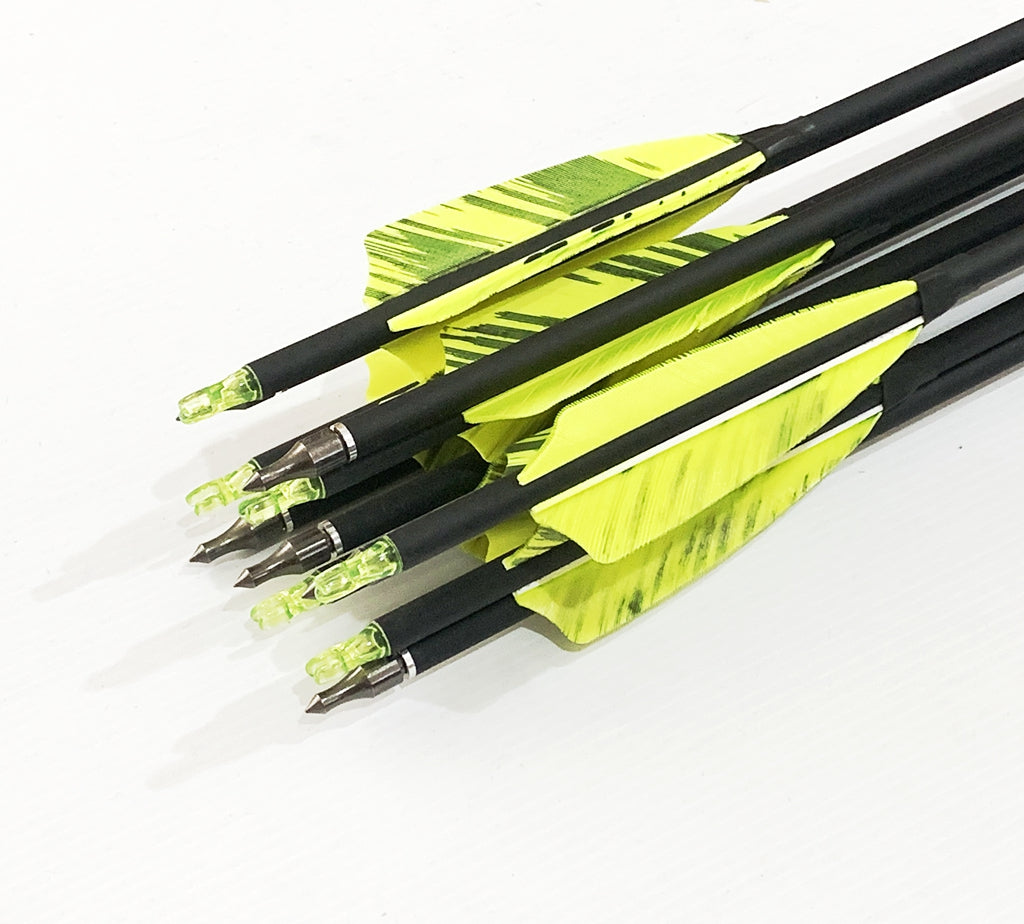 ARCHQUICK 12x 31" CARBON ARROWS FEATHER RECURVE BOW LONGBOW HUNTING TARGET SP500