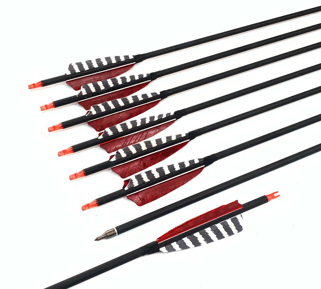 ARCHQUICK 12x 31.5" CARBON ARROWS FEATHER RECURVE BOW HUNTING TARGET SP500