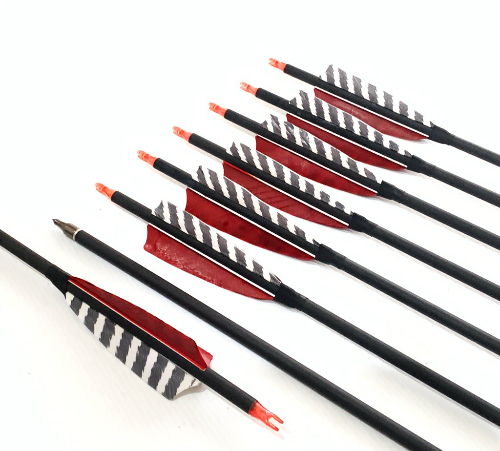 ARCHQUICK 12x 31.5" CARBON ARROWS FEATHER RECURVE BOW HUNTING TARGET SP500