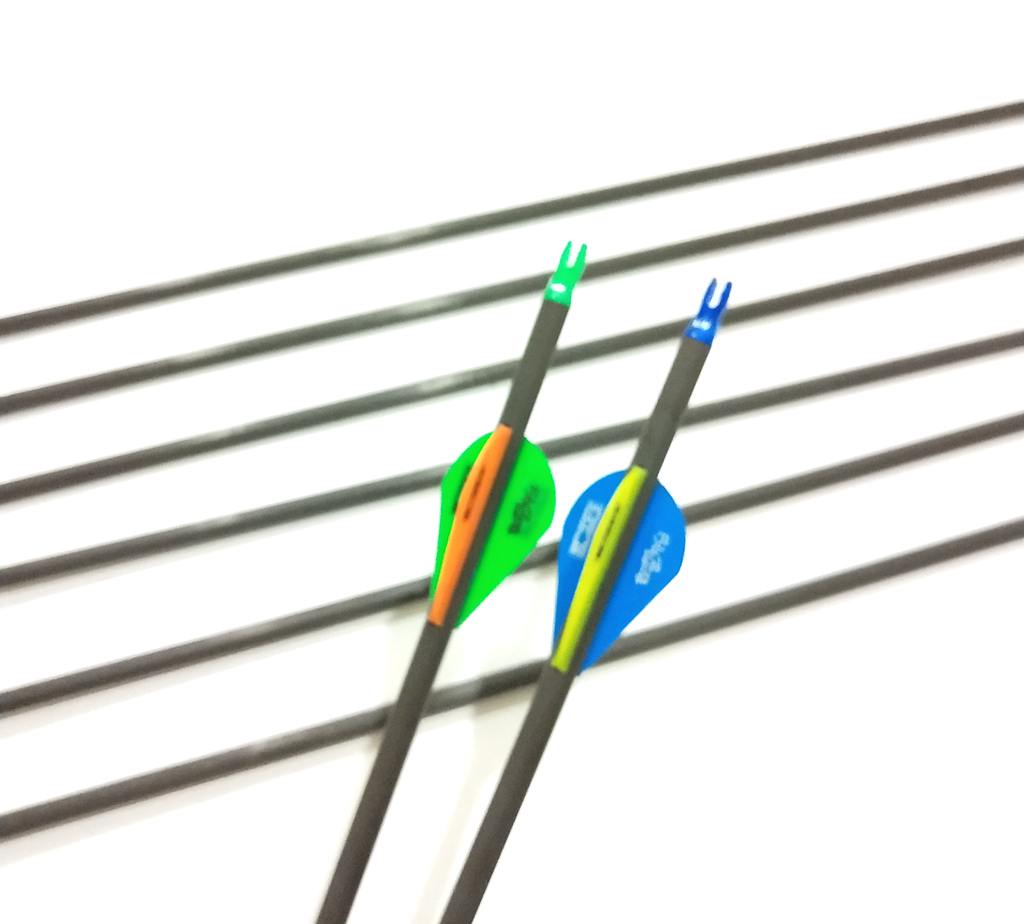 NEW 12 X 31.5" CARBON ARROWS 2" FLETCH Spine 300 COMPOUND OR RECURVE BOW TARGET