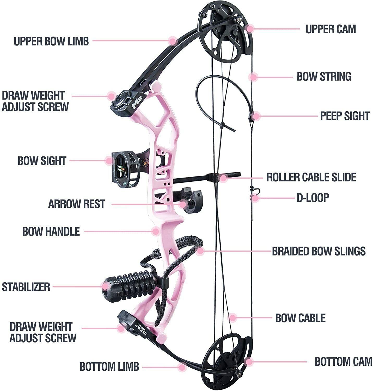TOPOINT M2 Youth Compound Bow 10-40lb Adjustable 17-27" Draw For Target Archery