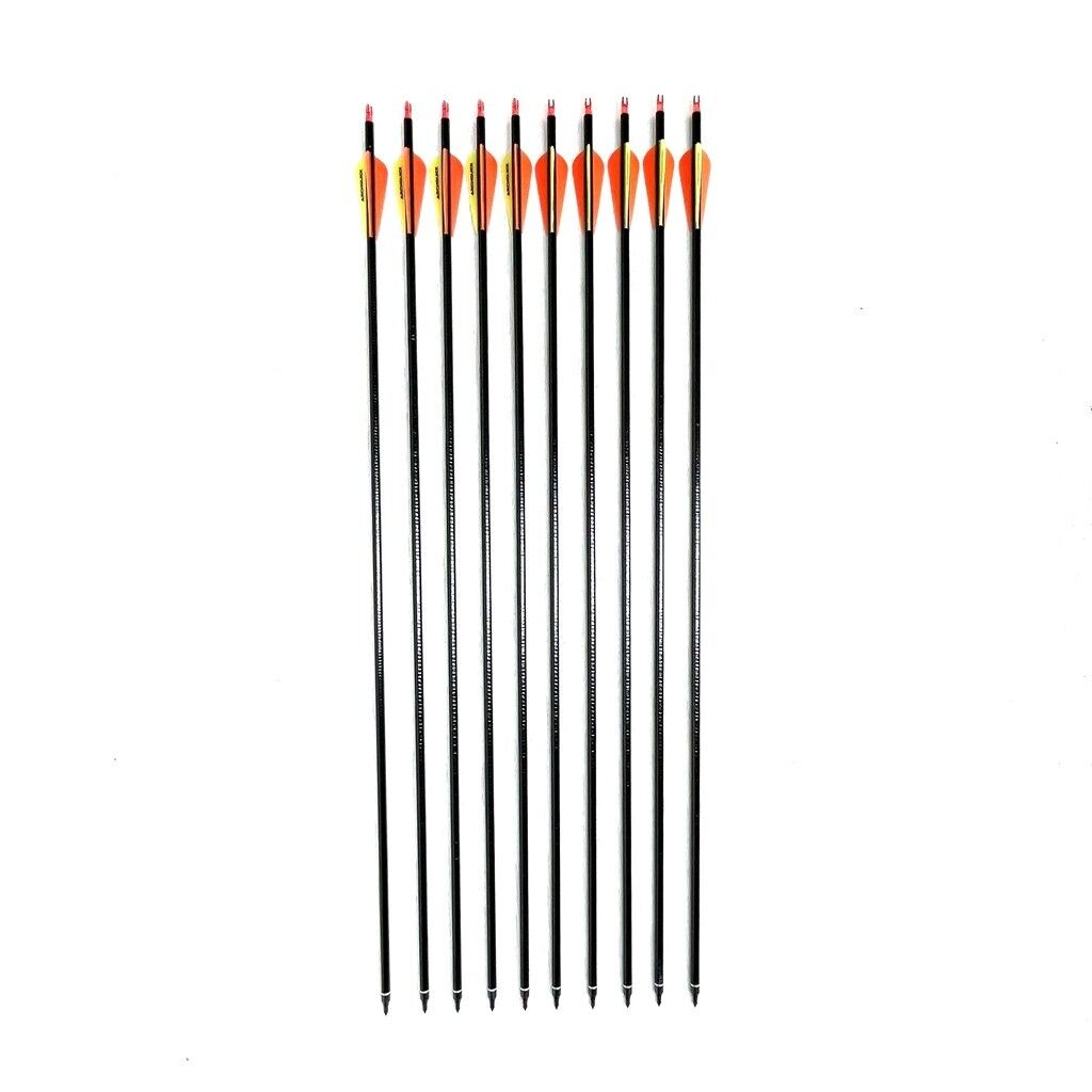 10/20x ARCHQUICK 31.5" Fiberglass Hunting Practice Arrows with Removable Tips