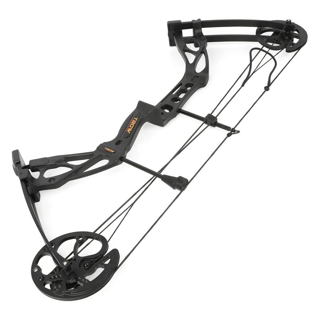 Junxing Compound Bow T8 Dragon For Hunting Target 10-70lb 325FPS RTS Arrow Set