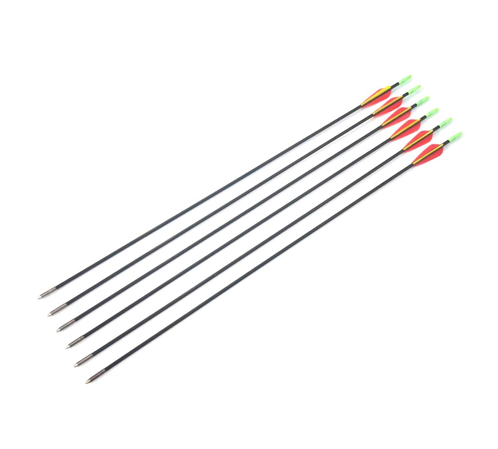 10x 31" Fiberglass Arrow Archery hunting compound recurve bow Practice Target