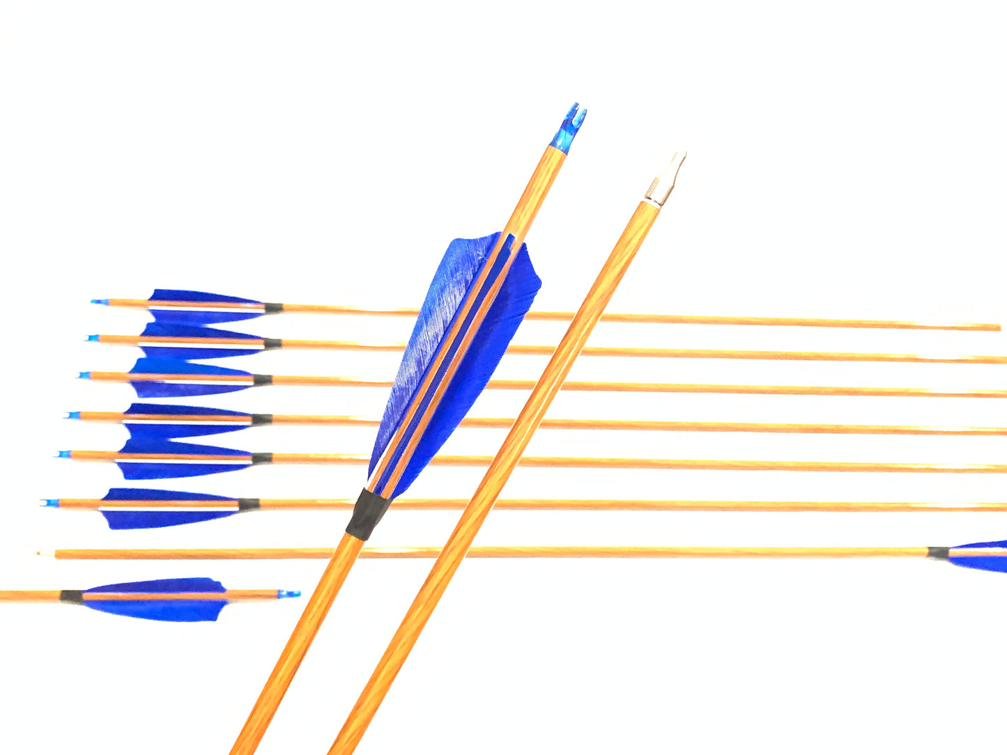 12x 31.5" Carbon Arrows 4" Feather Compound Recurve Bow Hunting Target Blue