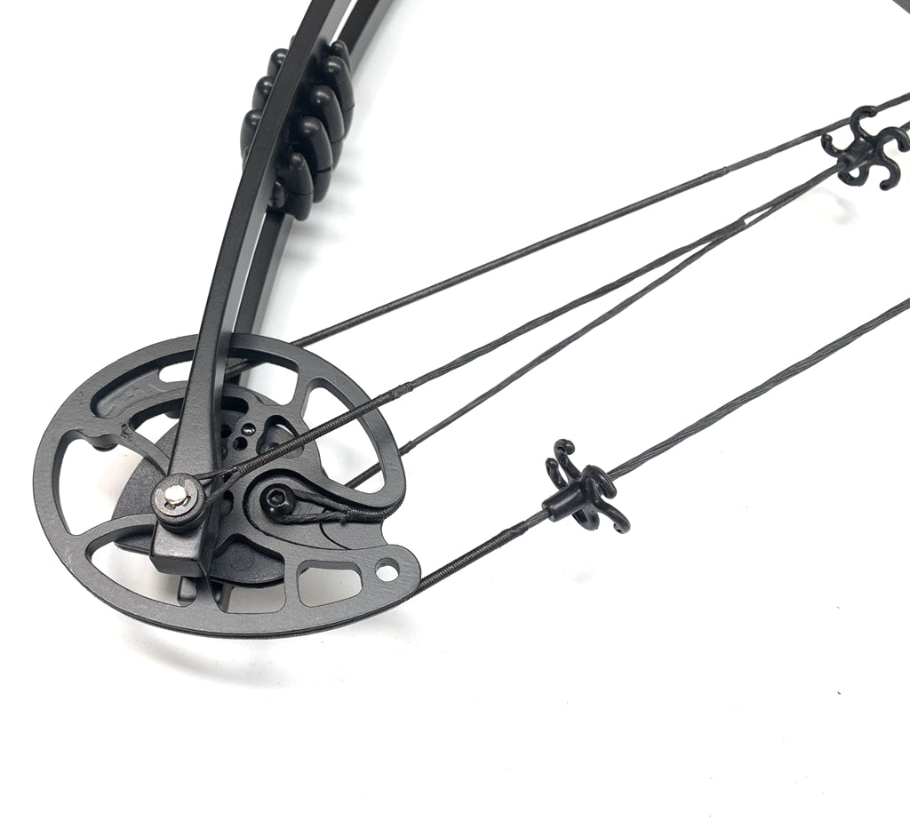 JunXing 20-55LBS Compound Bow Archery Sports Hunting Targeting RH