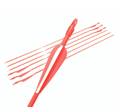 12x 28" Fiberglass Arrows upto 30LB For Kid Practice Target Recurve Compound Bow