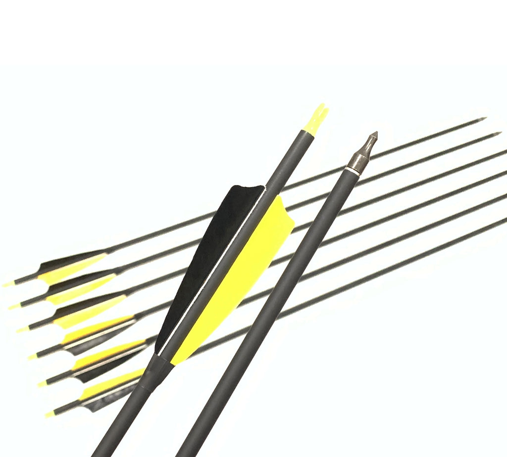 12x 31.5"CARBON ARROWS FEATHER COMPOUND RECURVE BOW HUNTING TARGET SPINE 500