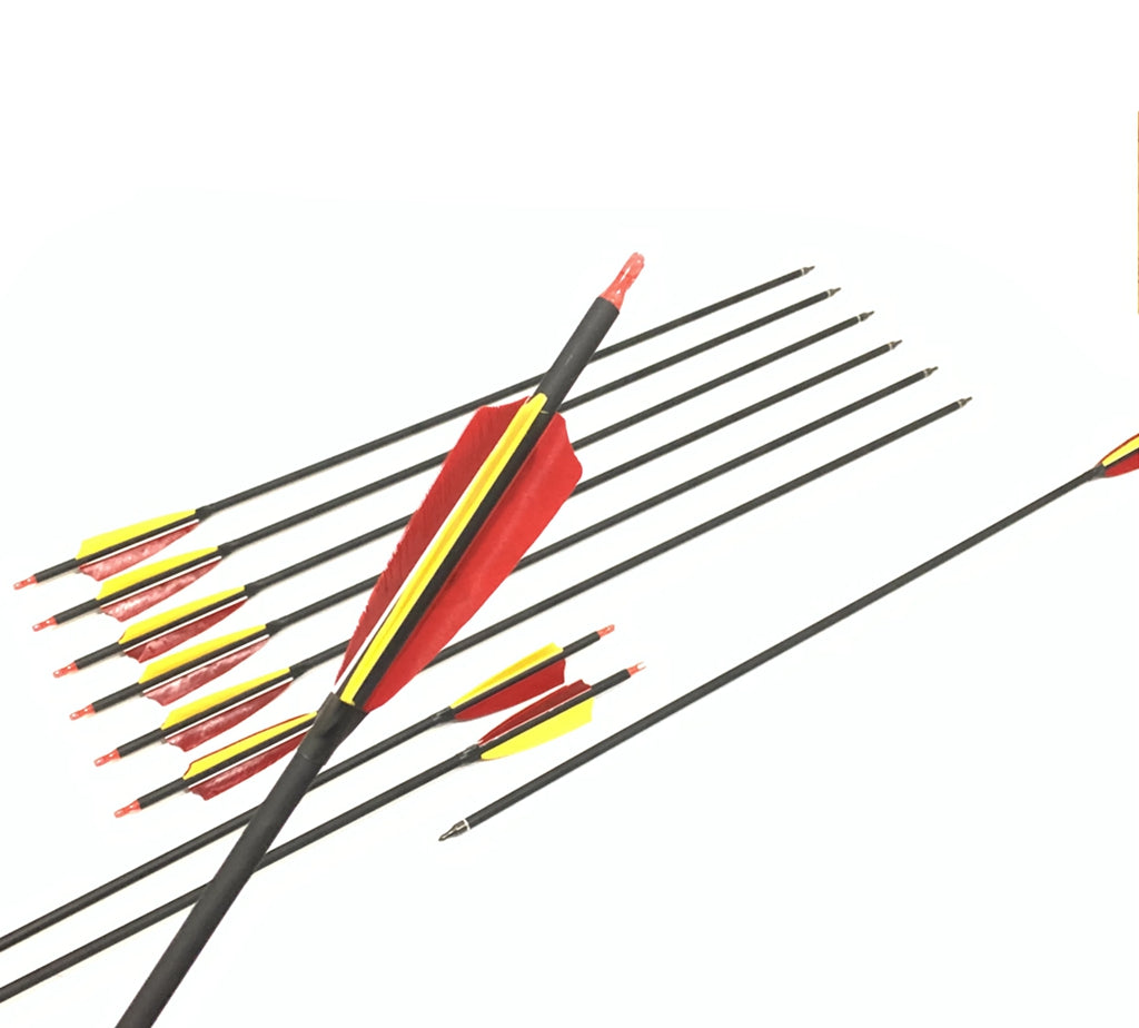 12x 31.5"CARBON ARROWS FEATHER COMPOUND RECURVE BOW HUNTING TARGET SPINE 500