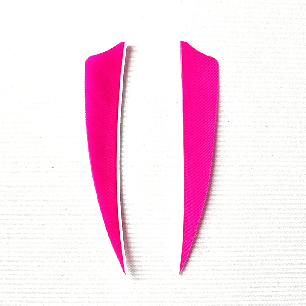ARCHQUICK 4" Shield RW Feather 12pack 8 Colours Fletching Vanes