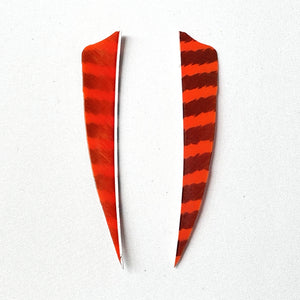 Plumes De Chasse En Plastique Pour Flèches - Lot De 100 Pcs (2, 3, 4 Pouces) - 5 Couleurs Au Choix