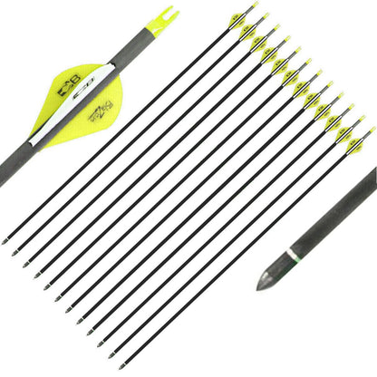 ARCHQUICK 30" Pure Carbon Hunting Arrows SP250 For Compound & Recurve Bow Target