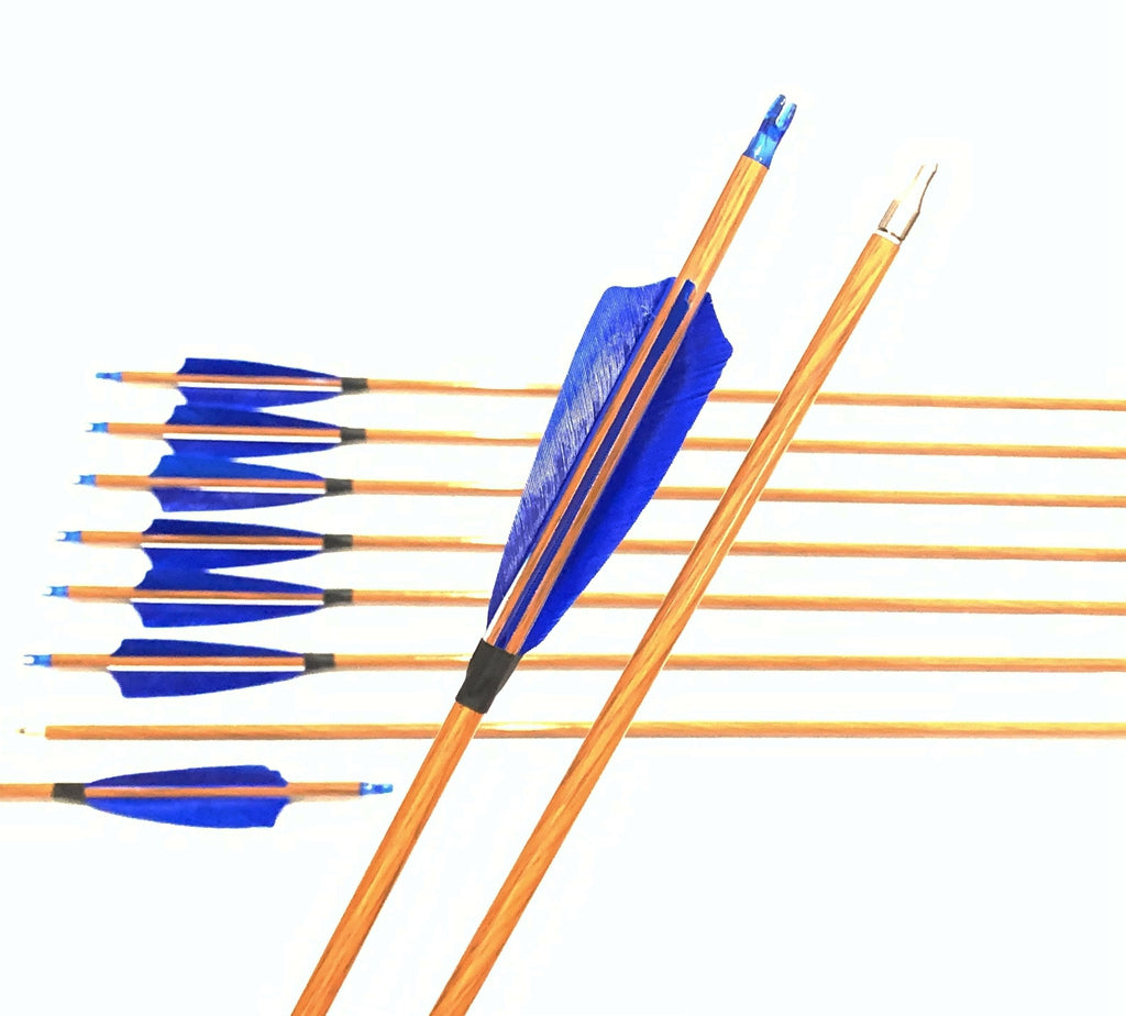 6x 31.5" Carbon Arrows 4" Turkey Feather Compound Recurve Bow Sp340/400/500/600