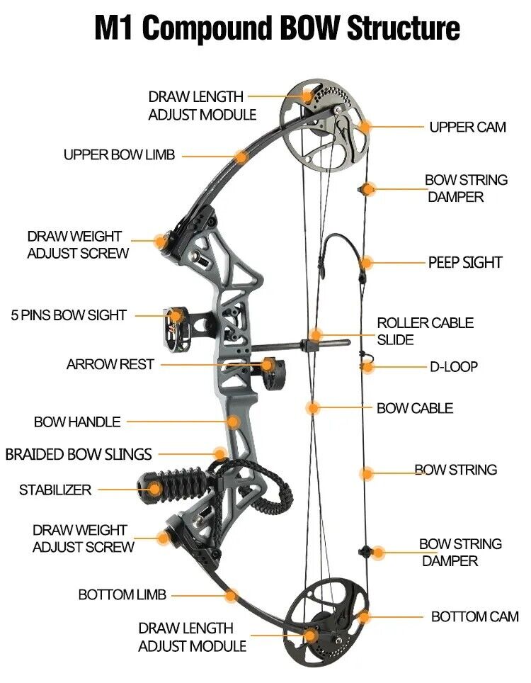 Topoint 2024 M1 COMPOUND BOW 19-70LB ARROW HUNTING TARGET ARCHERY CNC  Hard Case