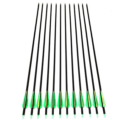 12/24x ARCHQUICK Carbon Arrows 31.5" for Compound/Recurve Bow Hunting /Target