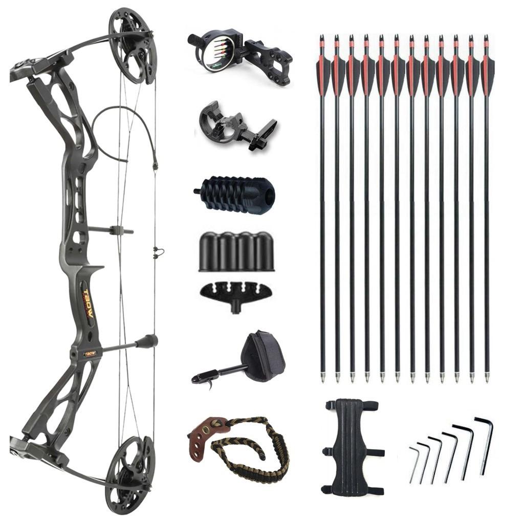 Junxing Compound Bow T8 Dragon For Hunting Target 10-70lb 325FPS RTS Arrow Set
