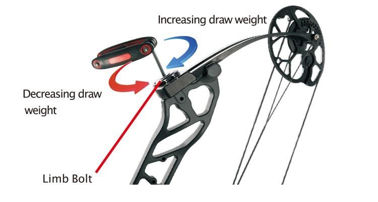 Topoint Starting 29 Youth Target Compound Bow Package 12-40lbs RH
