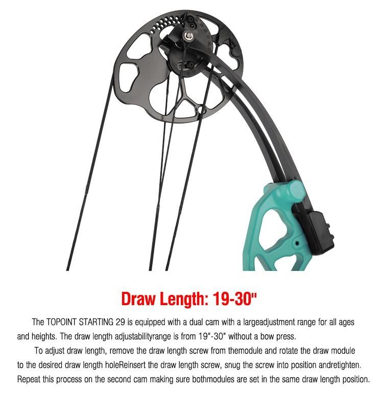Topoint Starting 29 Youth Target Compound Bow Package 12-40lbs RH
