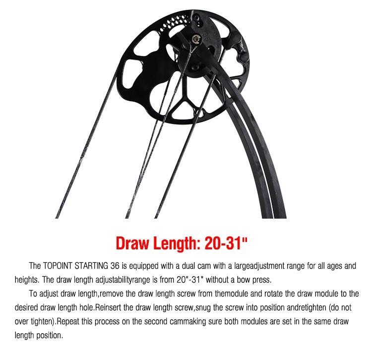 Topoint Starting 36" Target Compound Bow