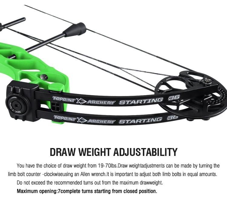 Topoint Starting 36" Target Compound Bow