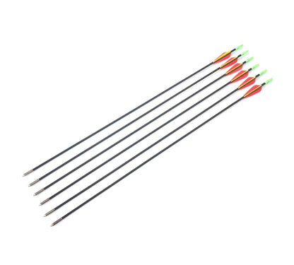 10x 31" Fiberglass Arrow Archery hunting compound recurve bow Practice Target