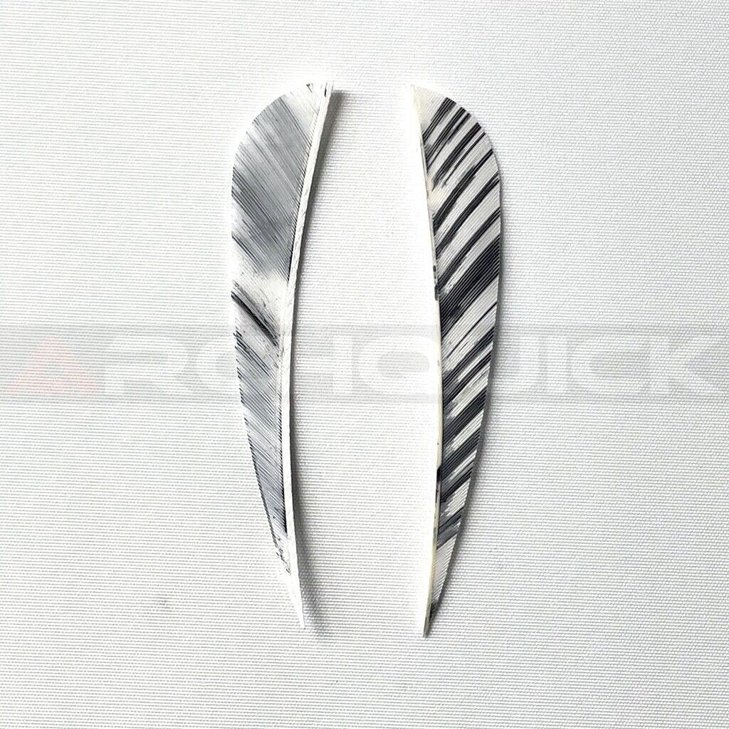 ARCHQUICK 4" Parabolic Camo RW Turkey Feather 12pack 7 Colours Fletching Vanes
