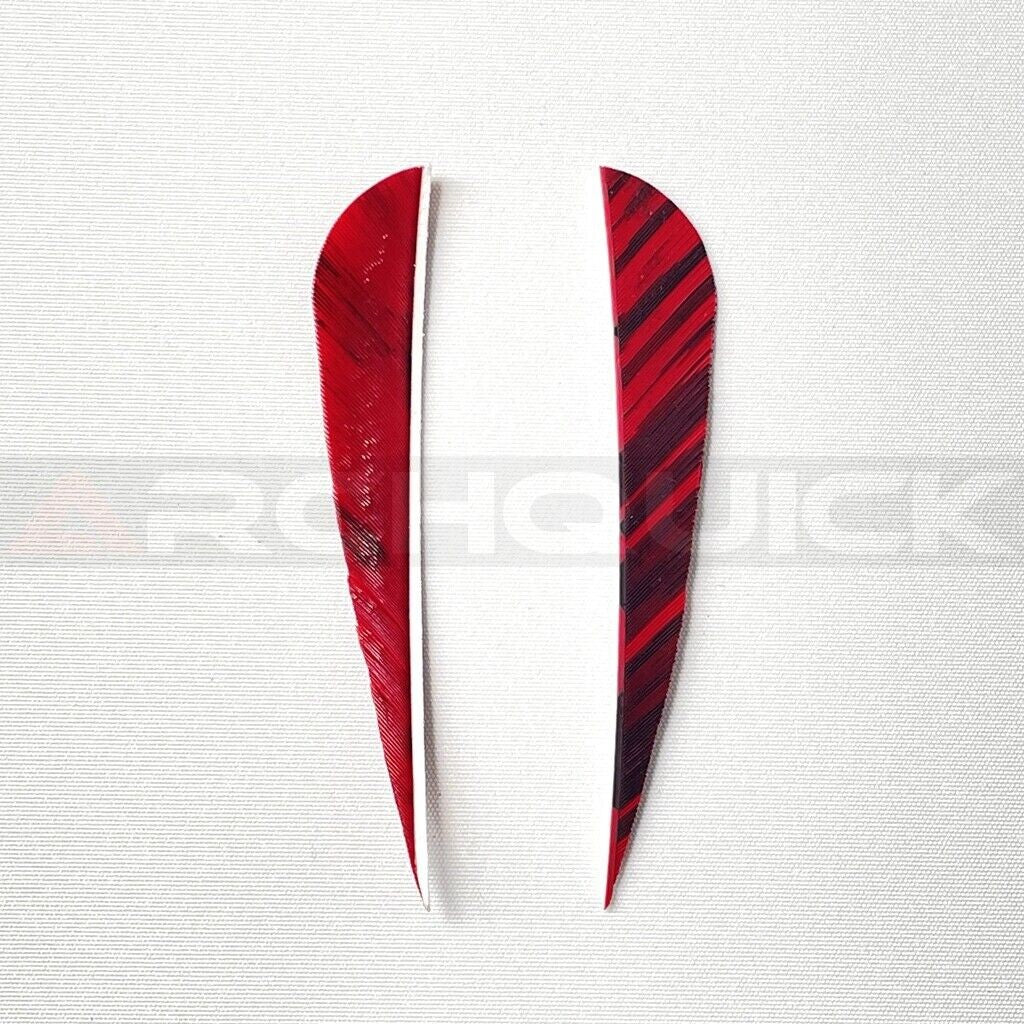 ARCHQUICK 4" Parabolic Camo RW Turkey Feather 12pack 7 Colours Fletching Vanes