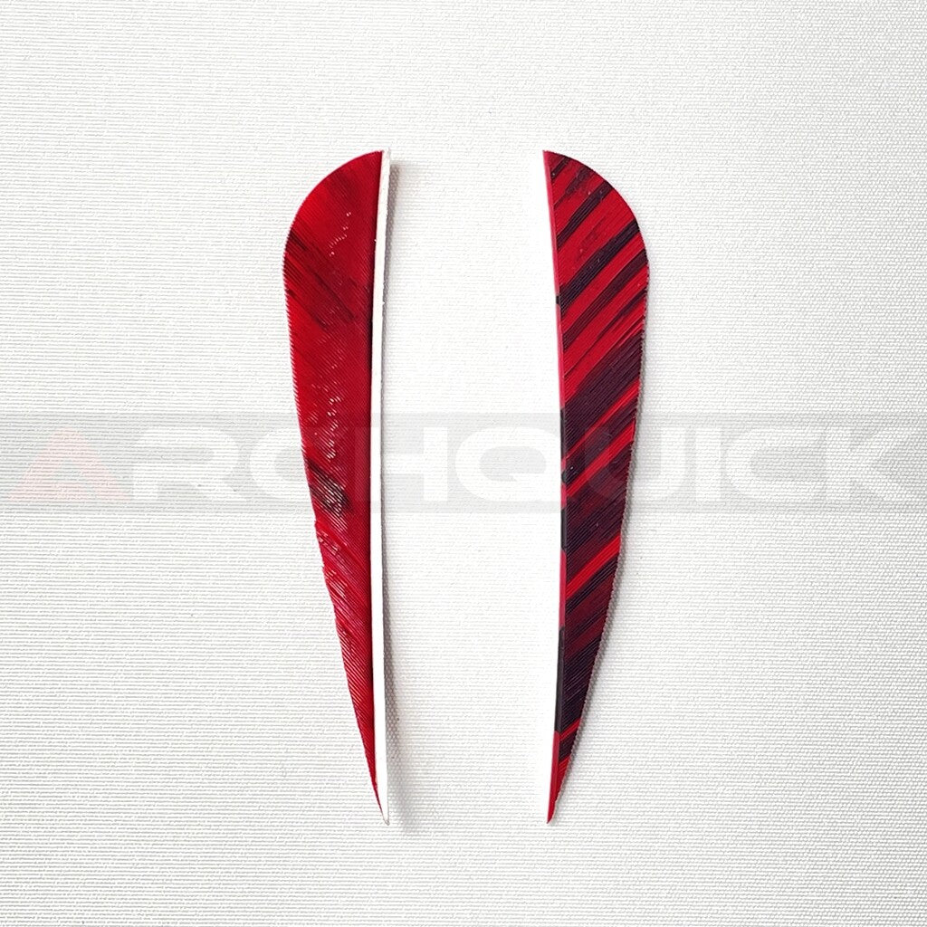 ARCHQUICK 4" Parabolic Camo RW Turkey Feather 12pack 7 Colours Fletching Vanes