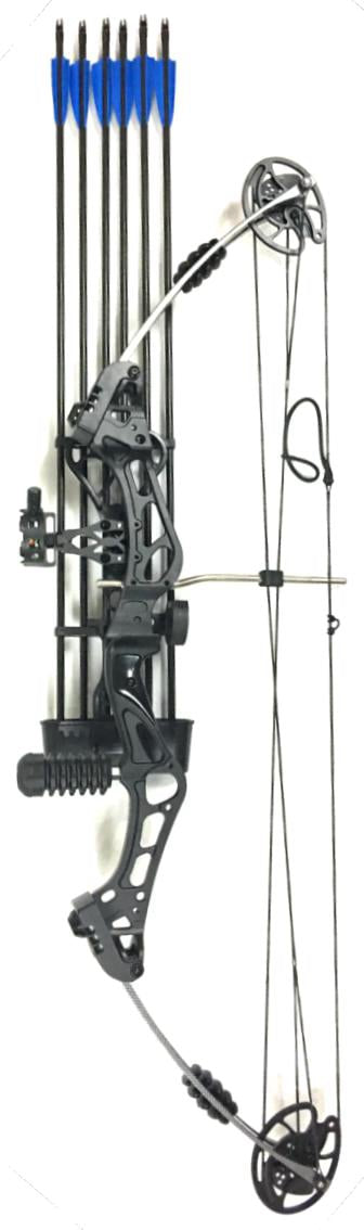JunXing 40-50lbs Compound Bow KIT Archery Bow HUNTING TARGET Shooting Luxury Package