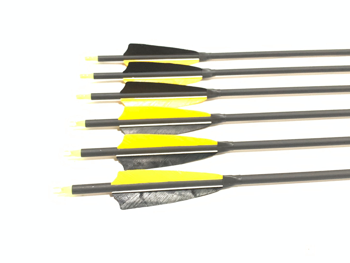 12x 31.5"CARBON ARROWS FEATHER COMPOUND RECURVE BOW HUNTING TARGET SPINE 500