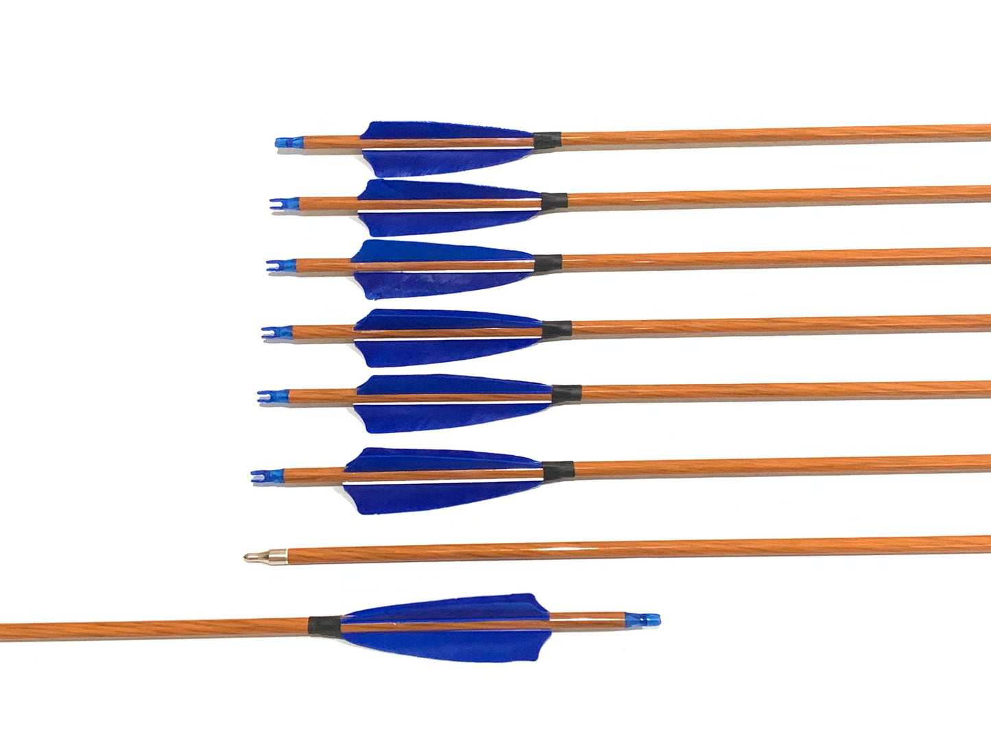 12x 31.5" Carbon Arrows 4" Feather Compound Recurve Bow Hunting Target Blue