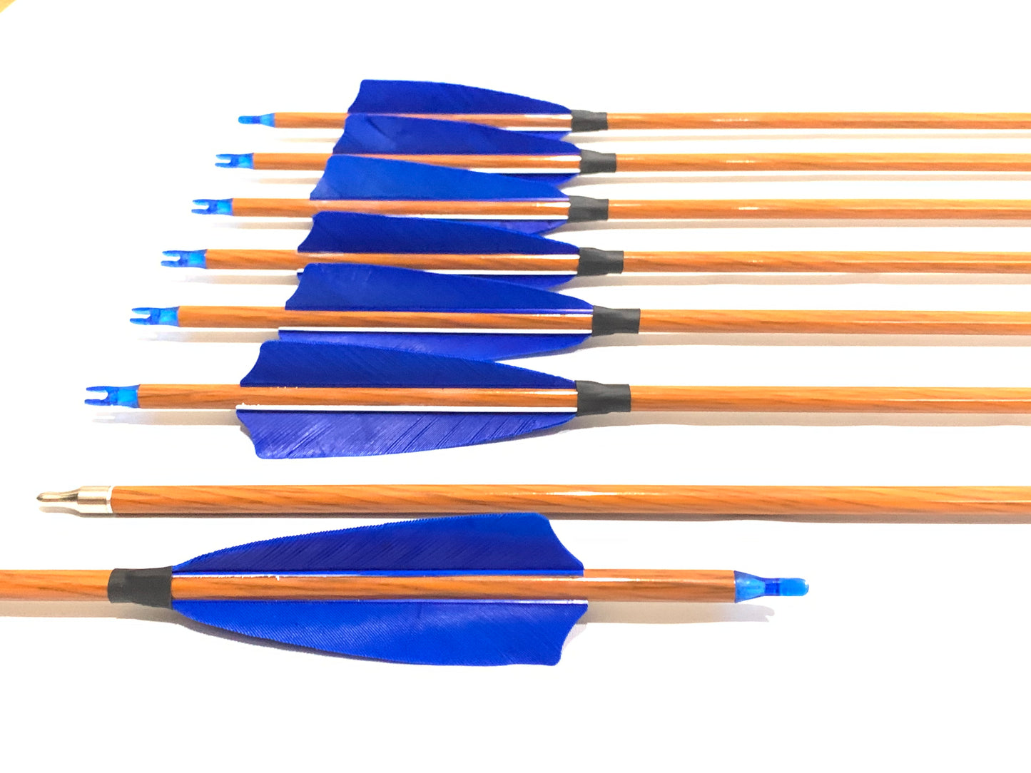 12x 31.5" Carbon Arrows 4" Feather Compound Recurve Bow Hunting Target Blue